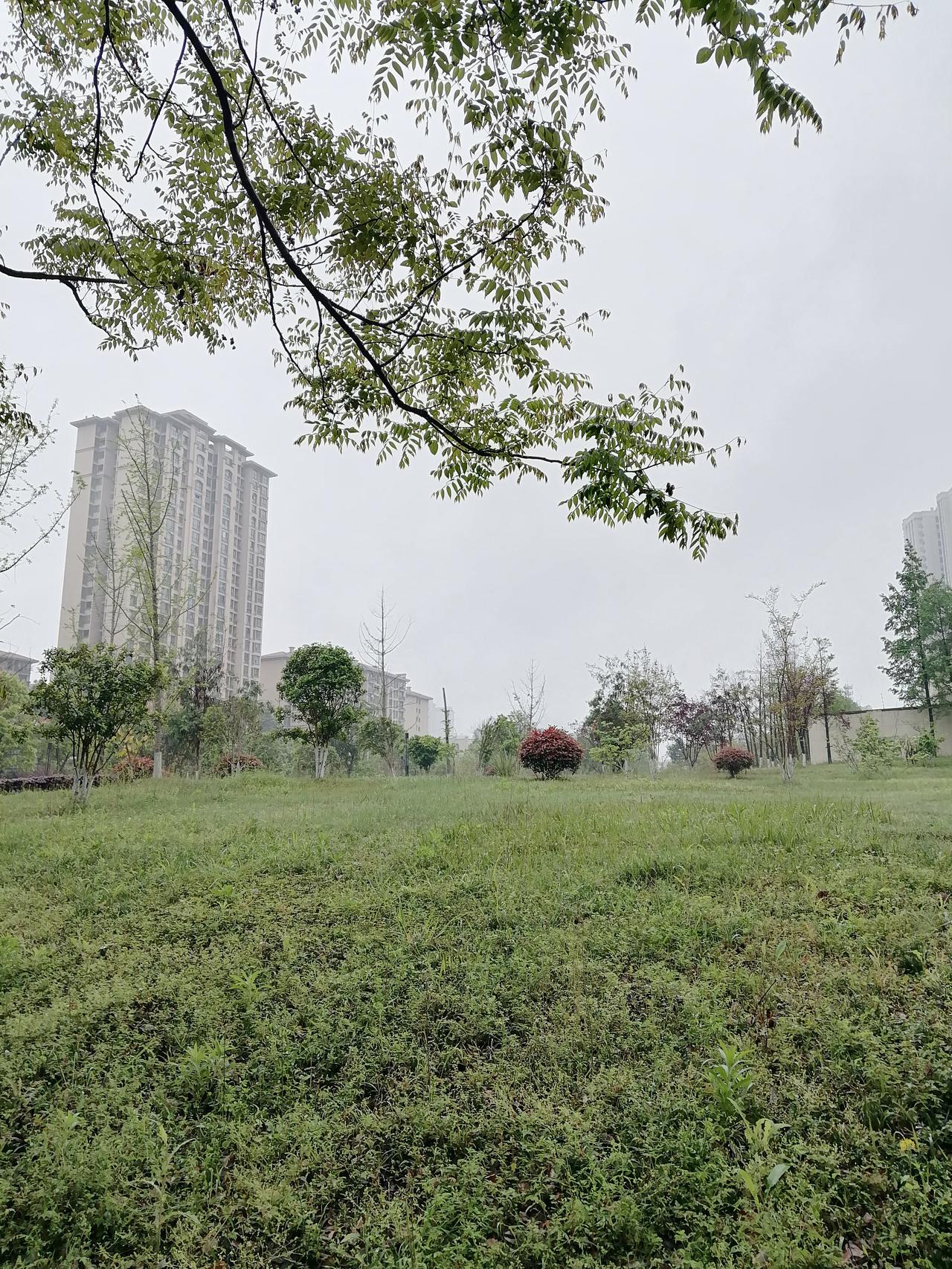 广告再响，不如案子办得漂亮

法律服务市场有个怪现象：有些律师广告铺天盖地，承诺