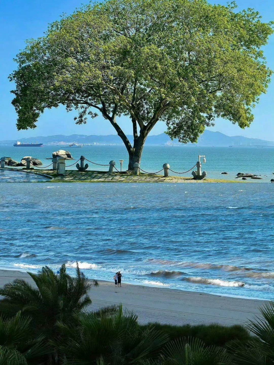 我们最终会去看海🌊 ​ ​​​