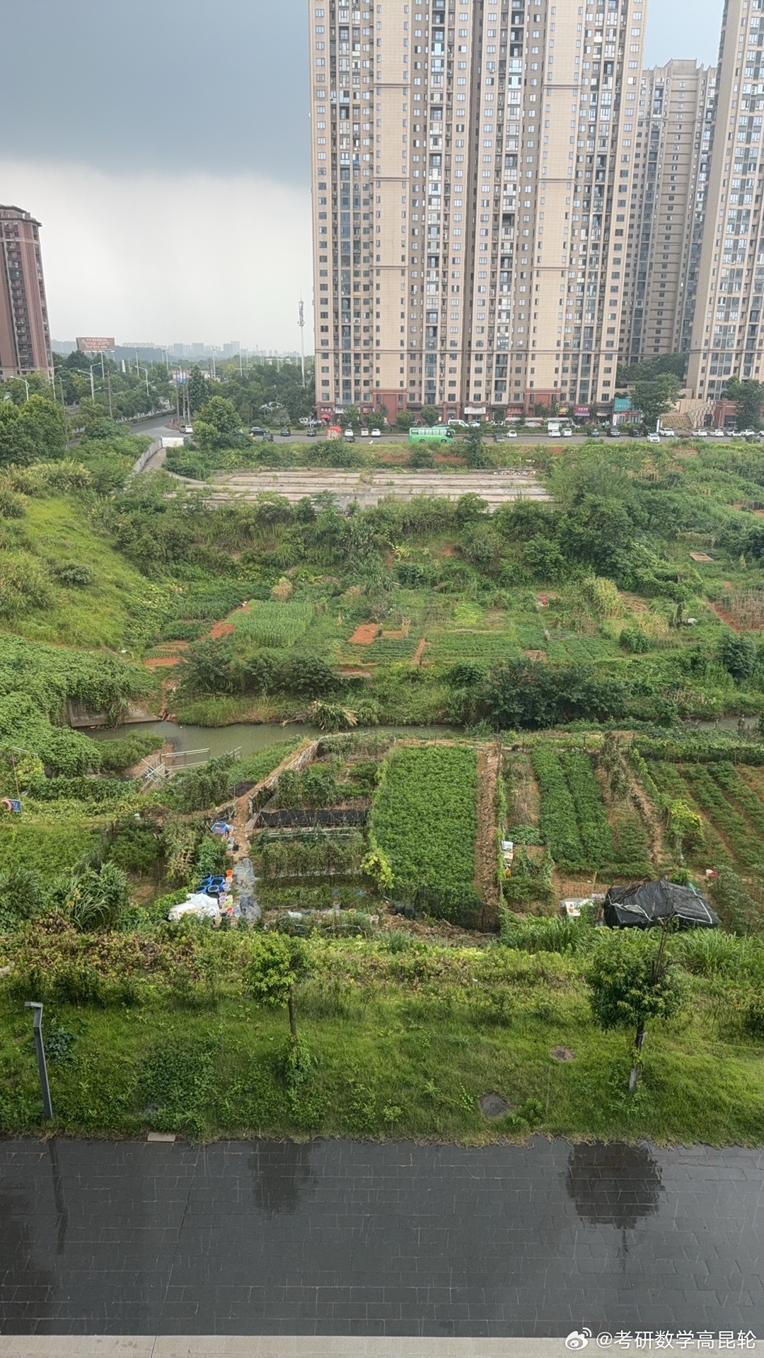 还在下雨🌧️ 水都变黄了 长沙