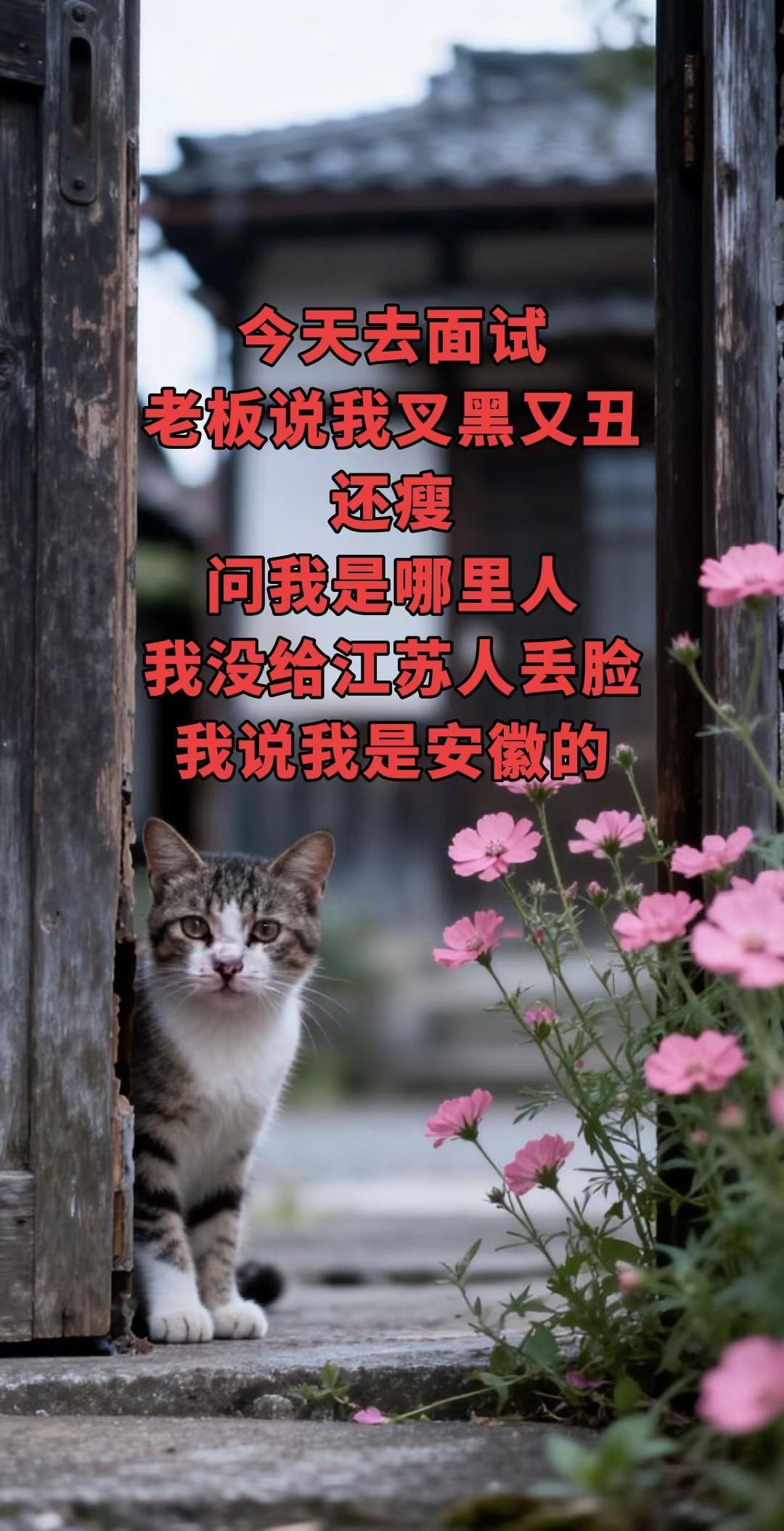 我不会给家乡人丢脸