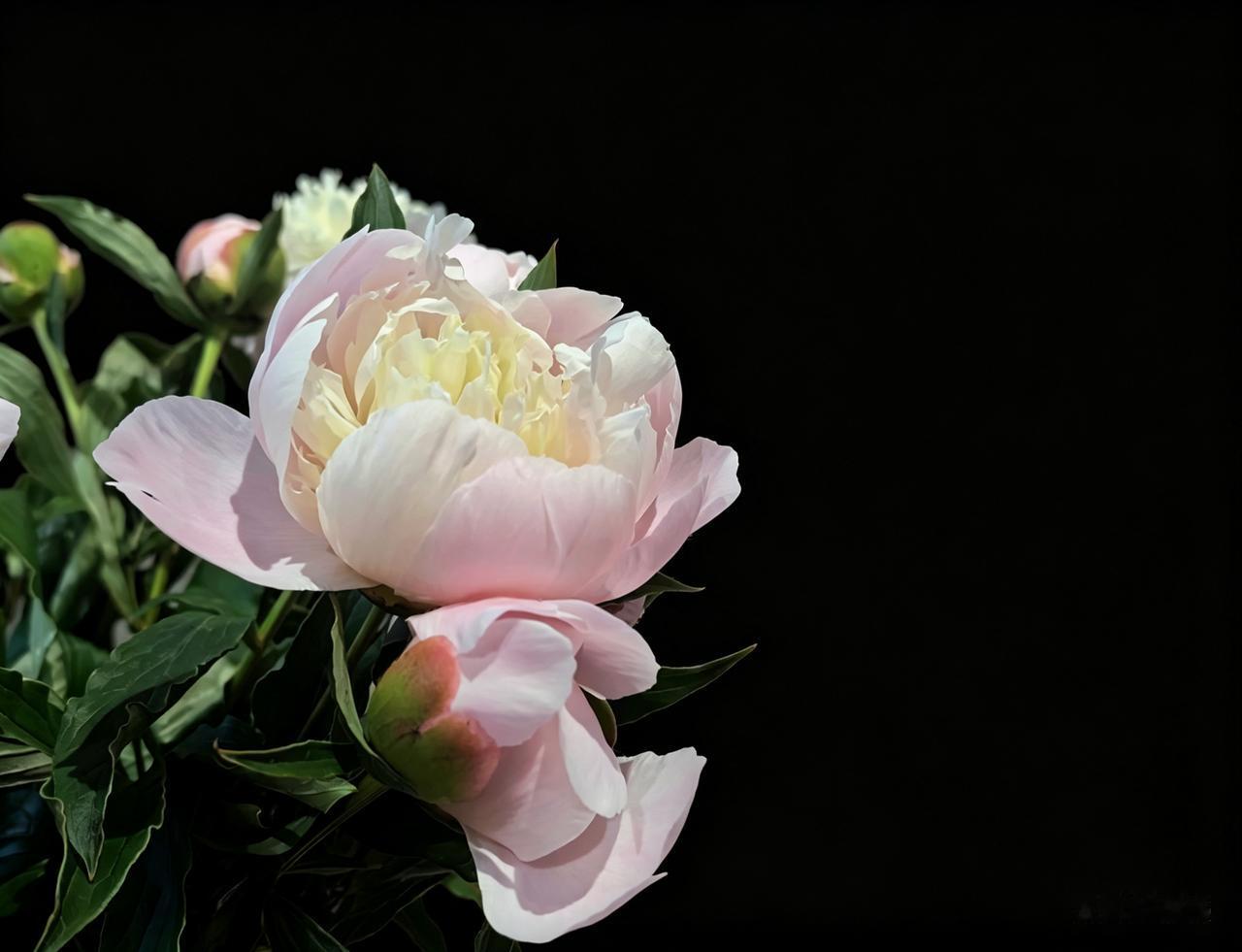 【热评】群众觉悟了，国家更安全
村民用铁锹拦下外逃间谍
 
一把铁锹拦下外逃间谍