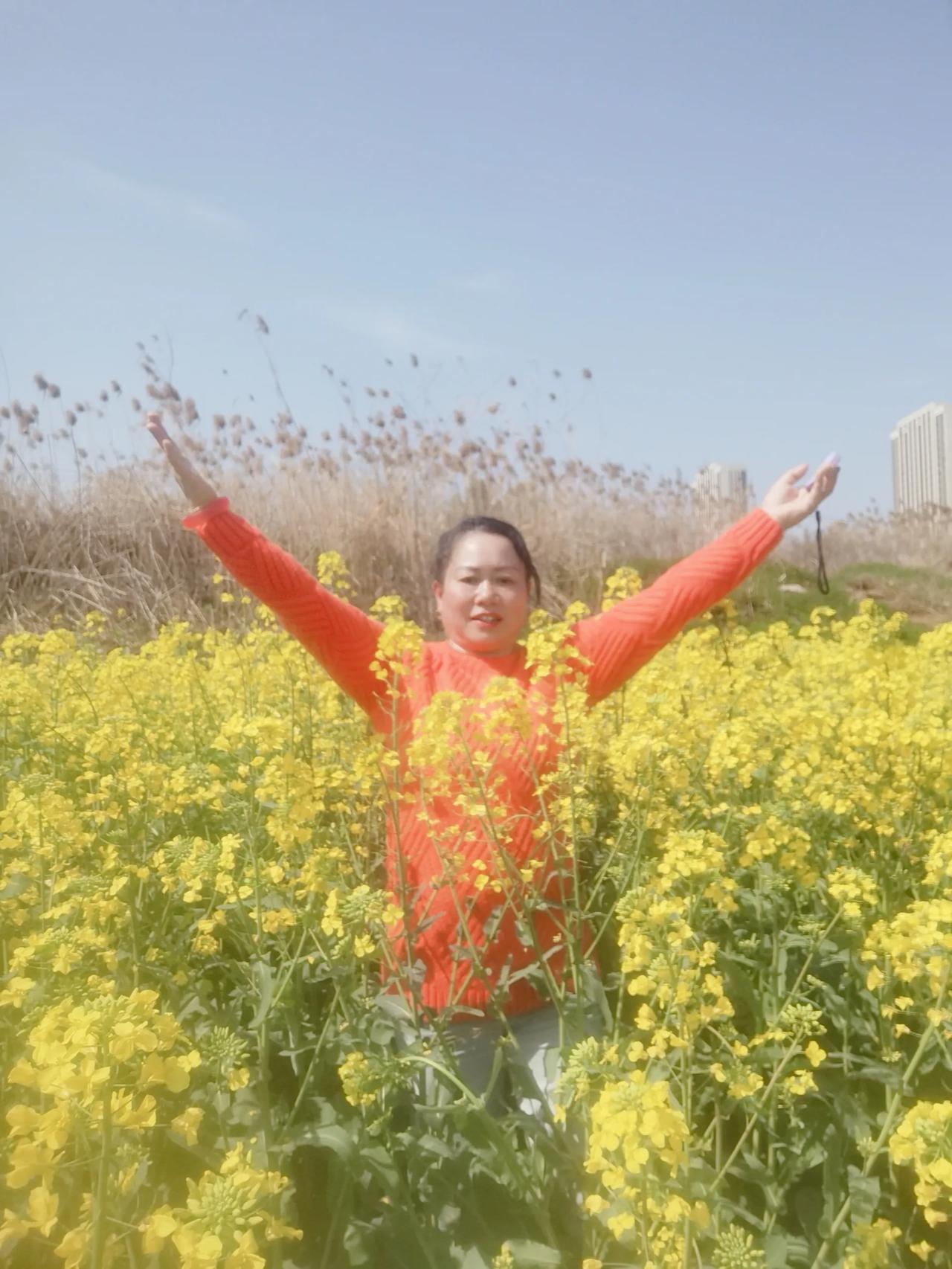 春日生活打卡季