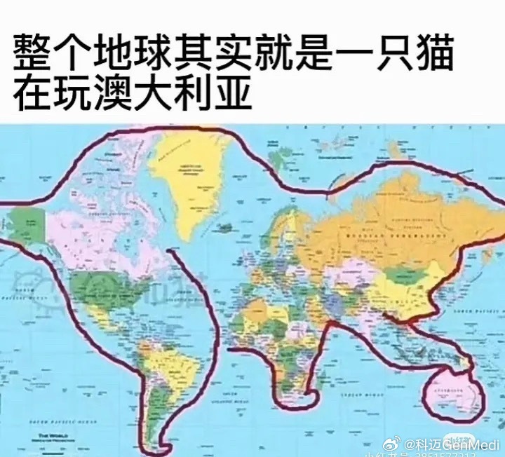 越来越疯狂的🌎世界🌍 先是水皮掀刘纪鹏桌子谁能治金岩石大放厥词这个谁都能逼逼