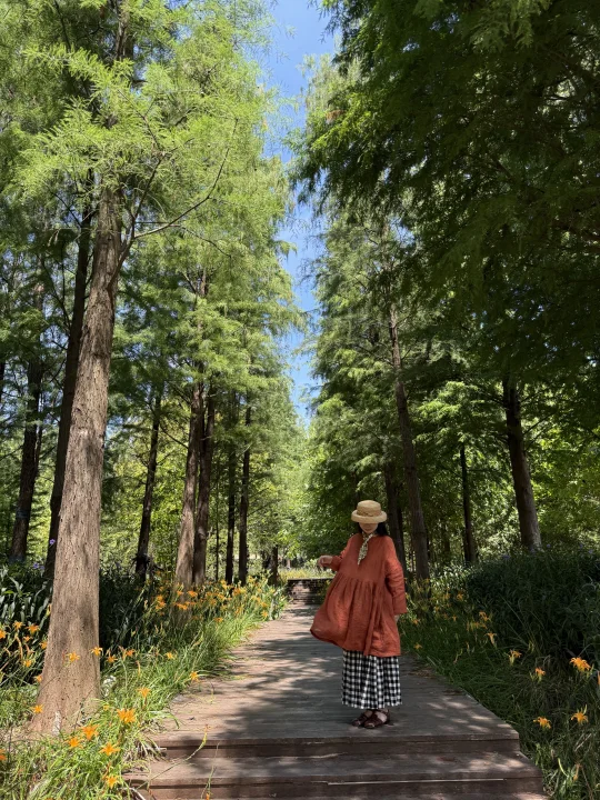 藏在赣州市区人少的森林秘境🌳live实况美哭