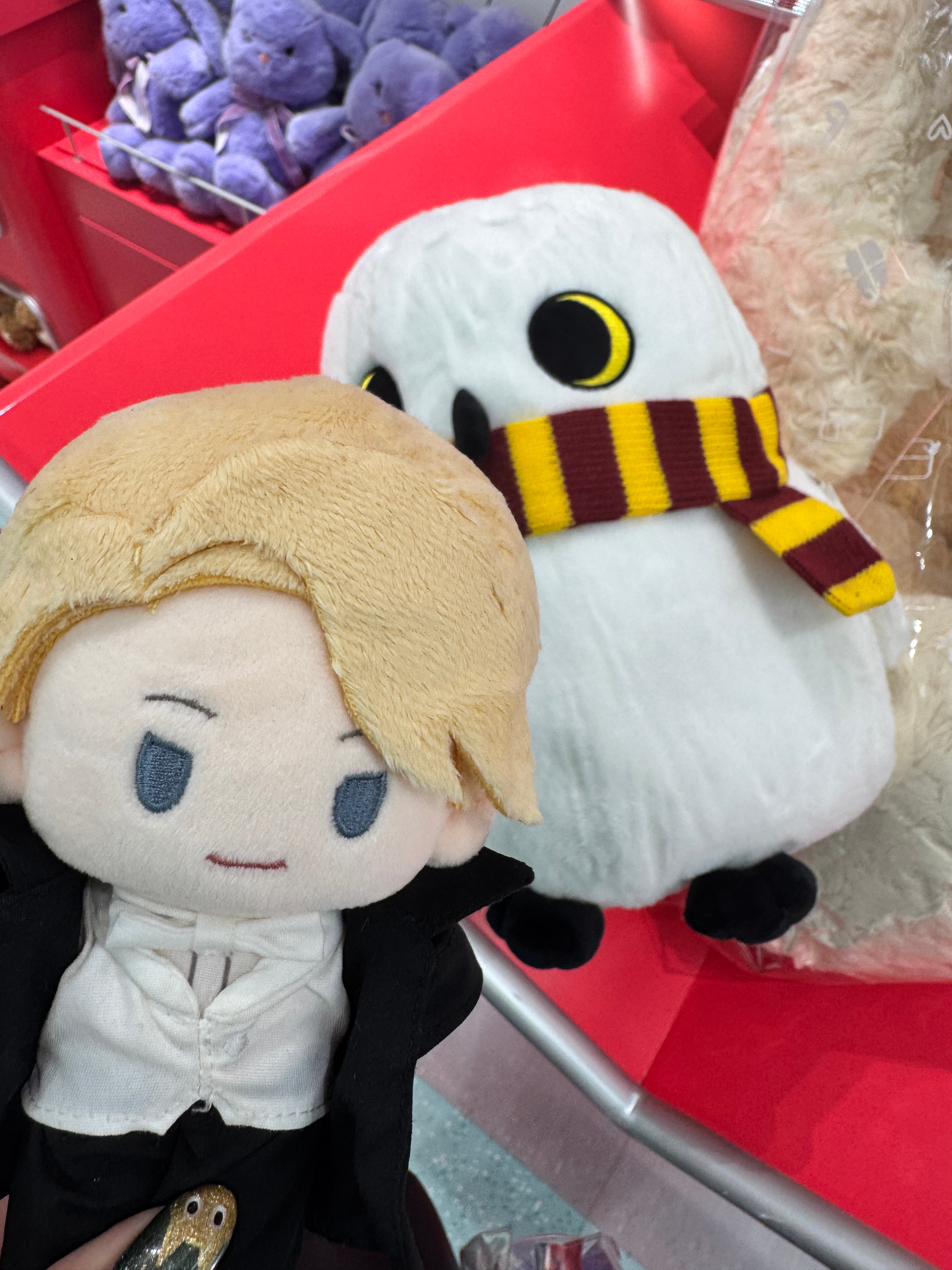 ：笨鸟，你没人要啊？ 