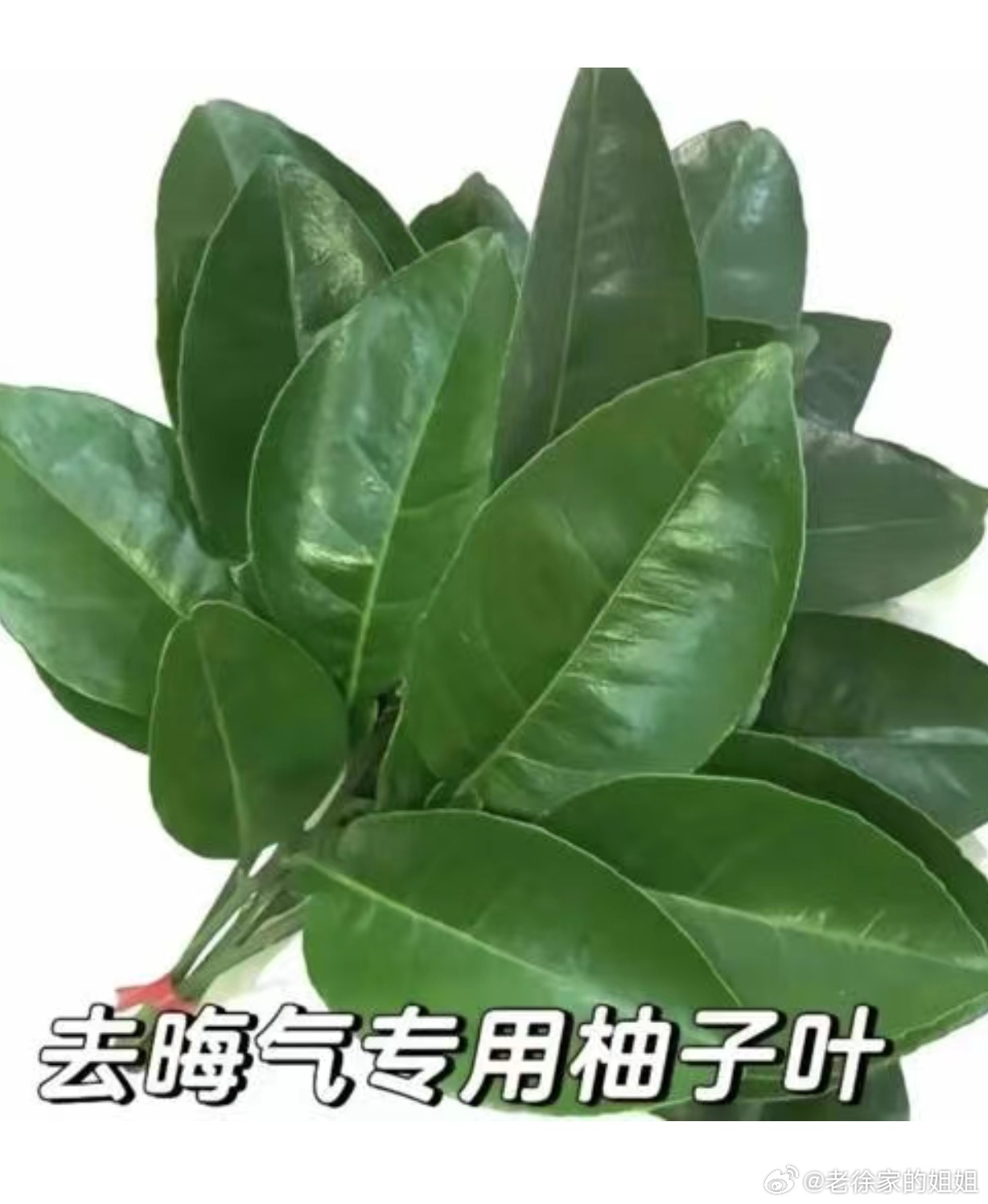 最怕流氓装斯文