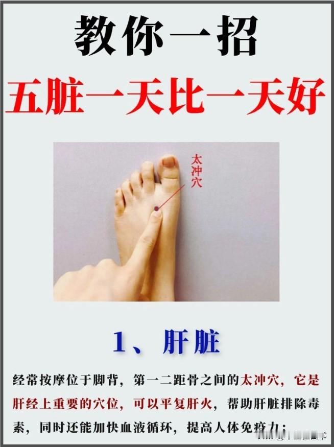 养好五脏，命才长！教你一招，让五脏一天比一天好！
#中医##健康##养生##五脏