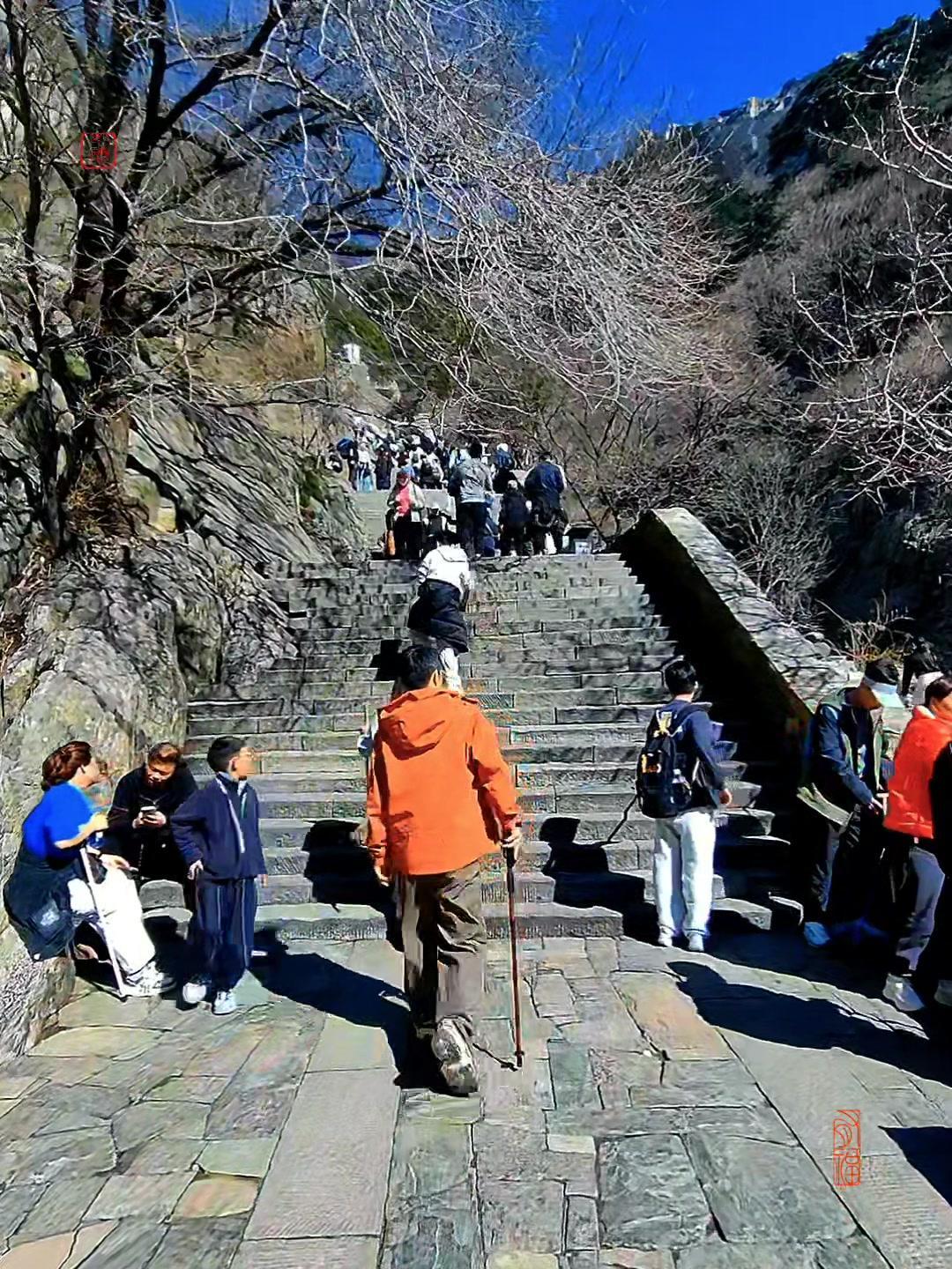 2026清明登泰山，从南天门回望十八盘时，才懂“步步安”的真谛。

中天门春意浓