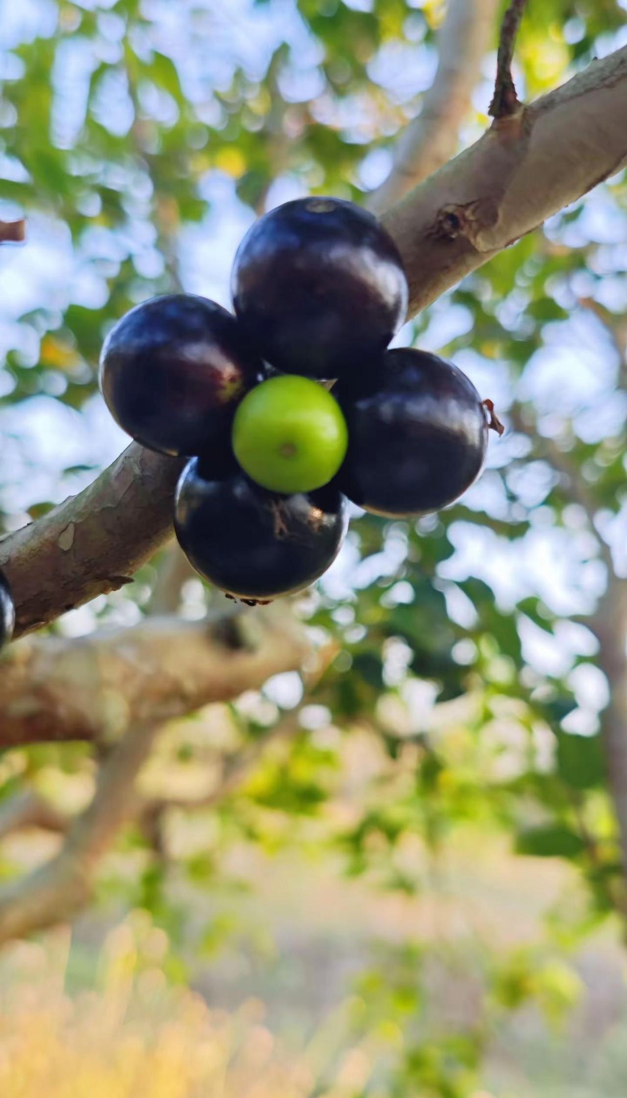 放慢脚步，感受生活的慢节奏。