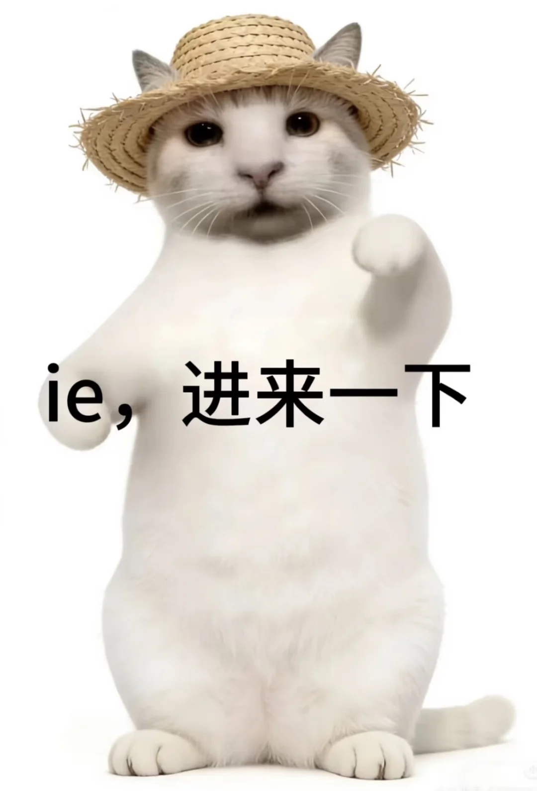 进来一下