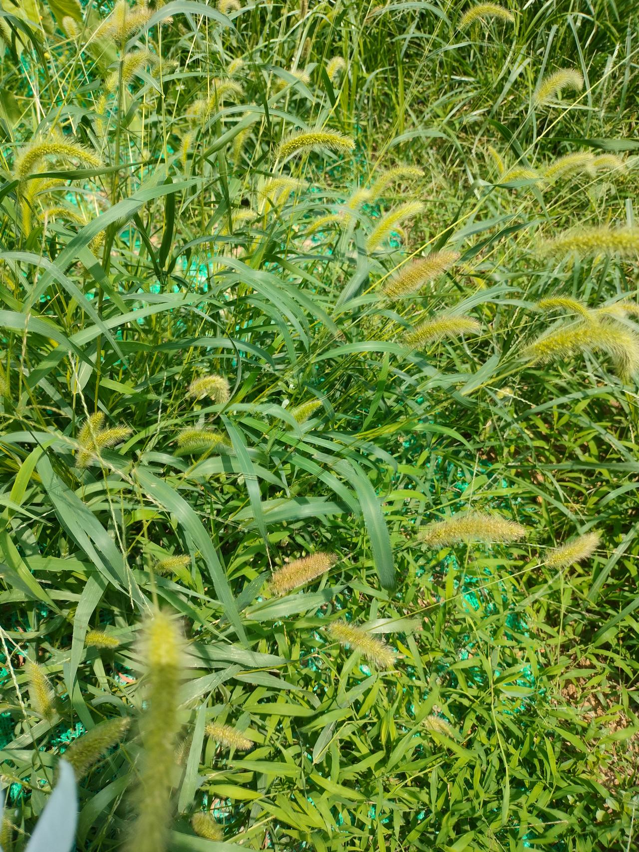 我的今日状态：😁轻松愉快
我这里的天气：☀️晴天