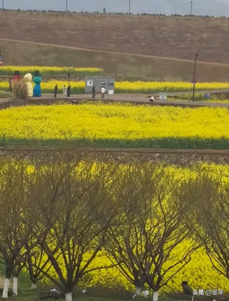 昨天无聊的时候我问豆包，以后都修仙了，普通人该怎么办？[抠鼻]

豆包说，普通人