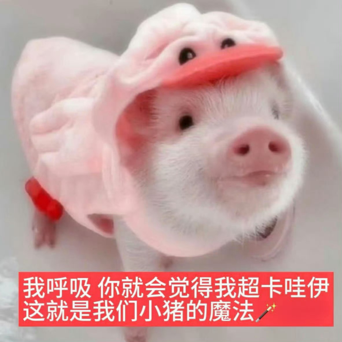 一剪完刘海感觉窝回到12岁了 
