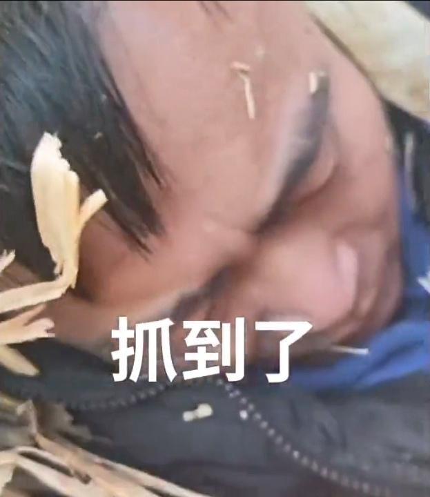 半年出狱即酿双命案！吉林惯偷的失控人生
 
12月吉林松原、通榆两地接连发生命案