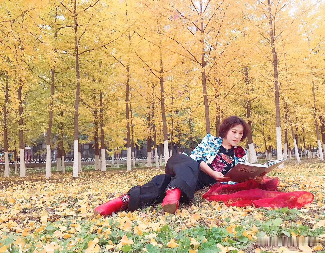 #看看你相册的银杏树#
当秋风拂过林间，片片秋叶便被赋予了另种生命，它们悠缓地飞