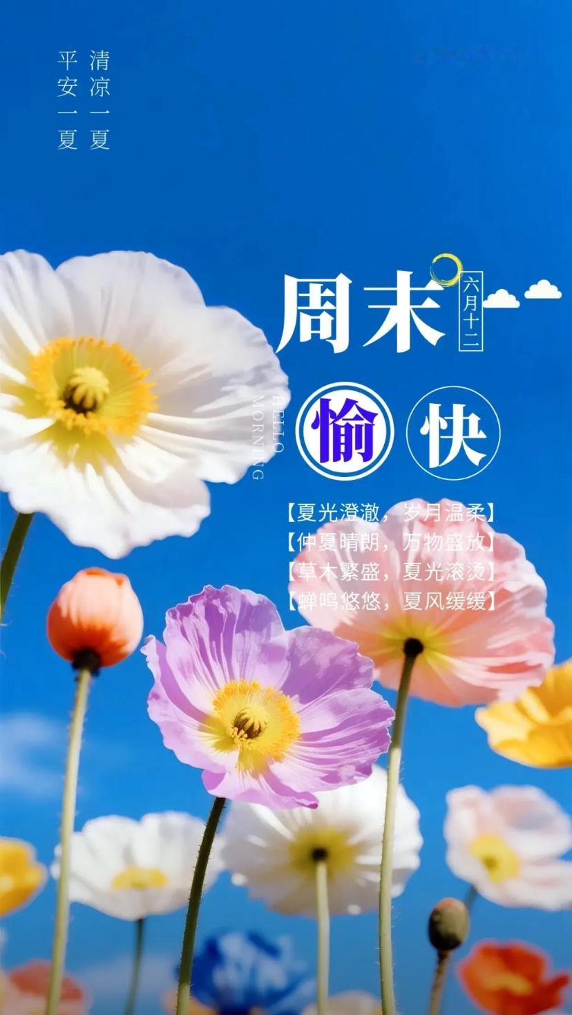 夏晨问安，长夏的热烈肆意蔓延，愿一池荷韵，抚平内心烦躁。
2026./07.25