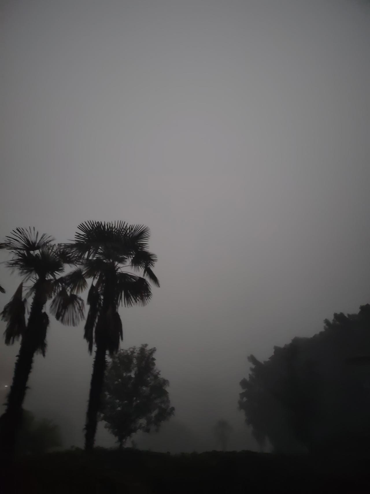 最黑暗的时刻，往往在黎明之前。雾不会突然散去，而是被光一寸寸吃掉。你能做的很简单