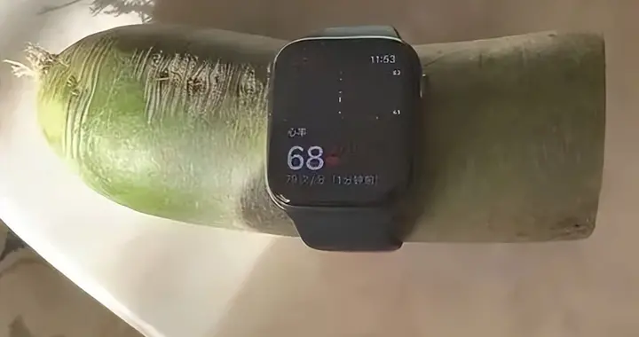 苹果手表|辽宁男子用苹果手表测出萝卜心率！客服回应