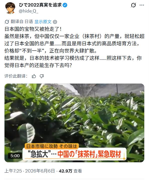 日本人竟然认为抹茶是日本的！

好歹也查一下：日式茶道 2013 年申遗，只是改