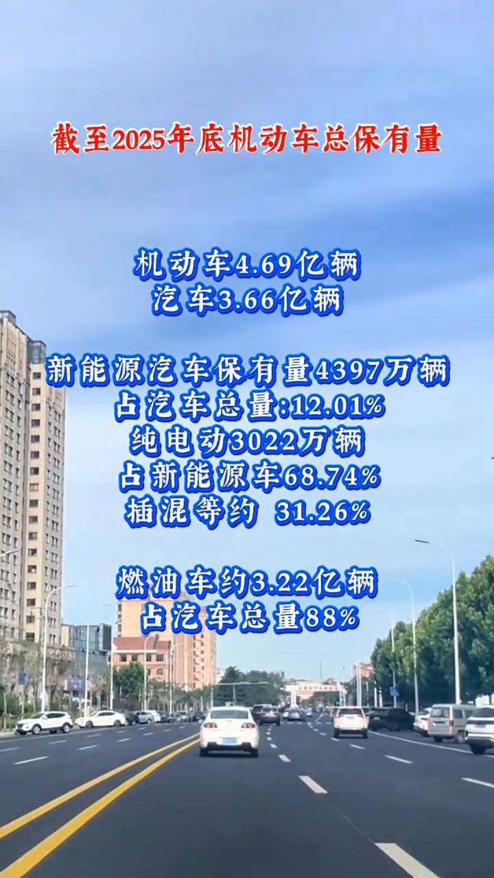 截至2025年底机动车总保有量：机动车4.69亿辆，汽车3.66亿辆。新能源汽车