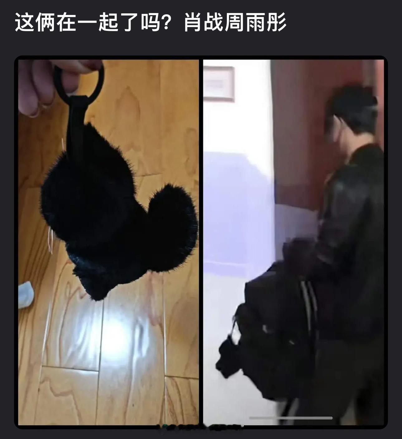 有网友问肖战、周雨彤是不是在一起了，但这个玩偶谁都能买吧？内娱有这个的明星也不少