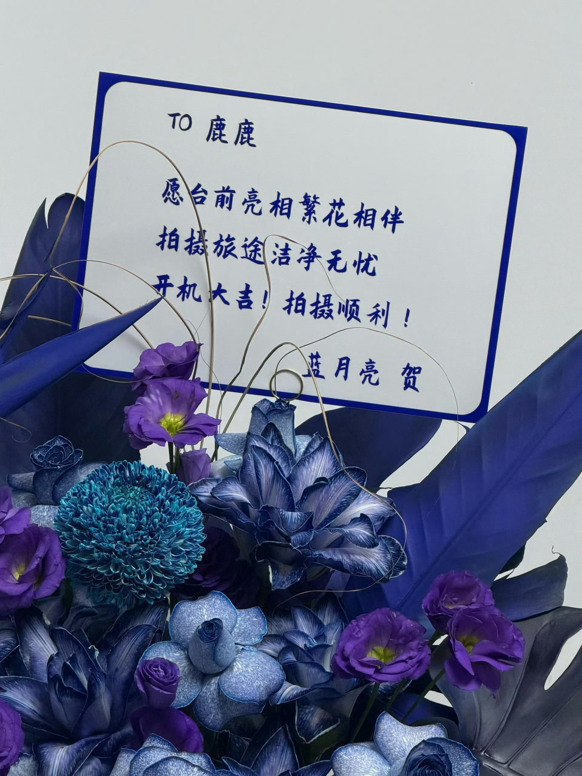 蓝月亮来啦