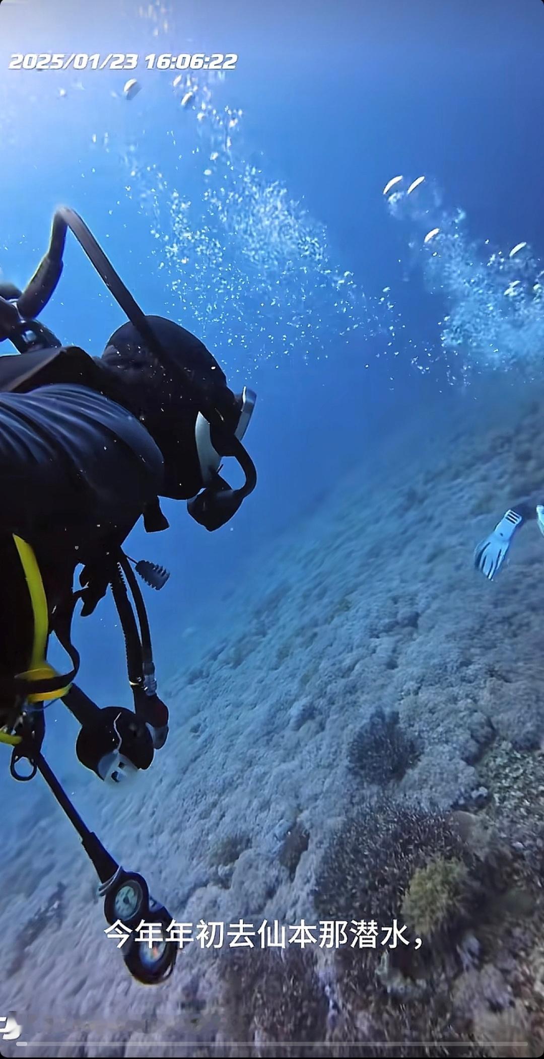 小米潜水表进水问题，小米公司发言人正式回应了过程较长，我之前就看到了视频，我整理