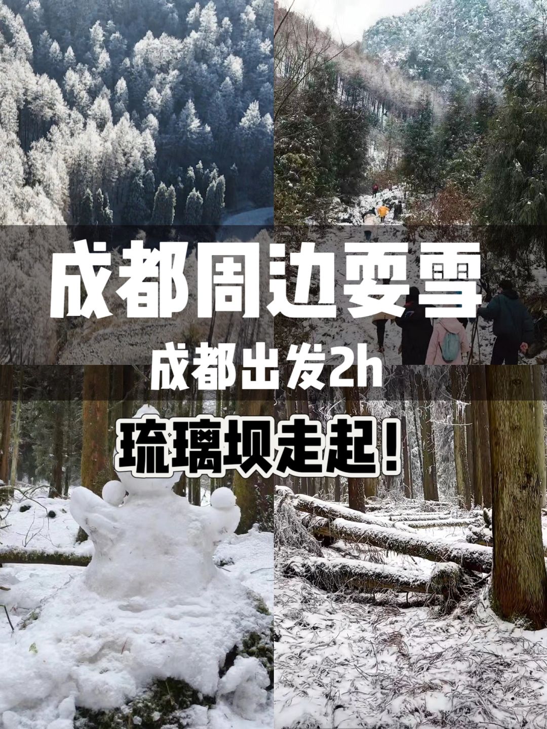 成都周边耍雪2h抵拢❗️琉璃坝又下❄️啦