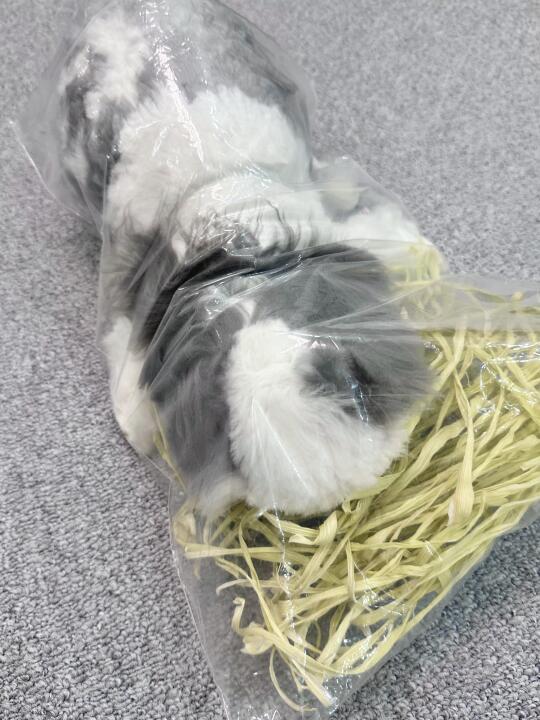 为了兔崽子在超市零元购