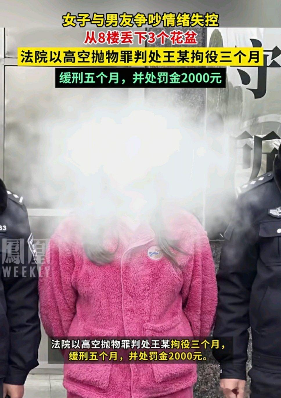 🔻四川遂宁，女子从8楼高空抛物扔下3个花盆，被判拘役三个月，缓刑五个月，并处罚