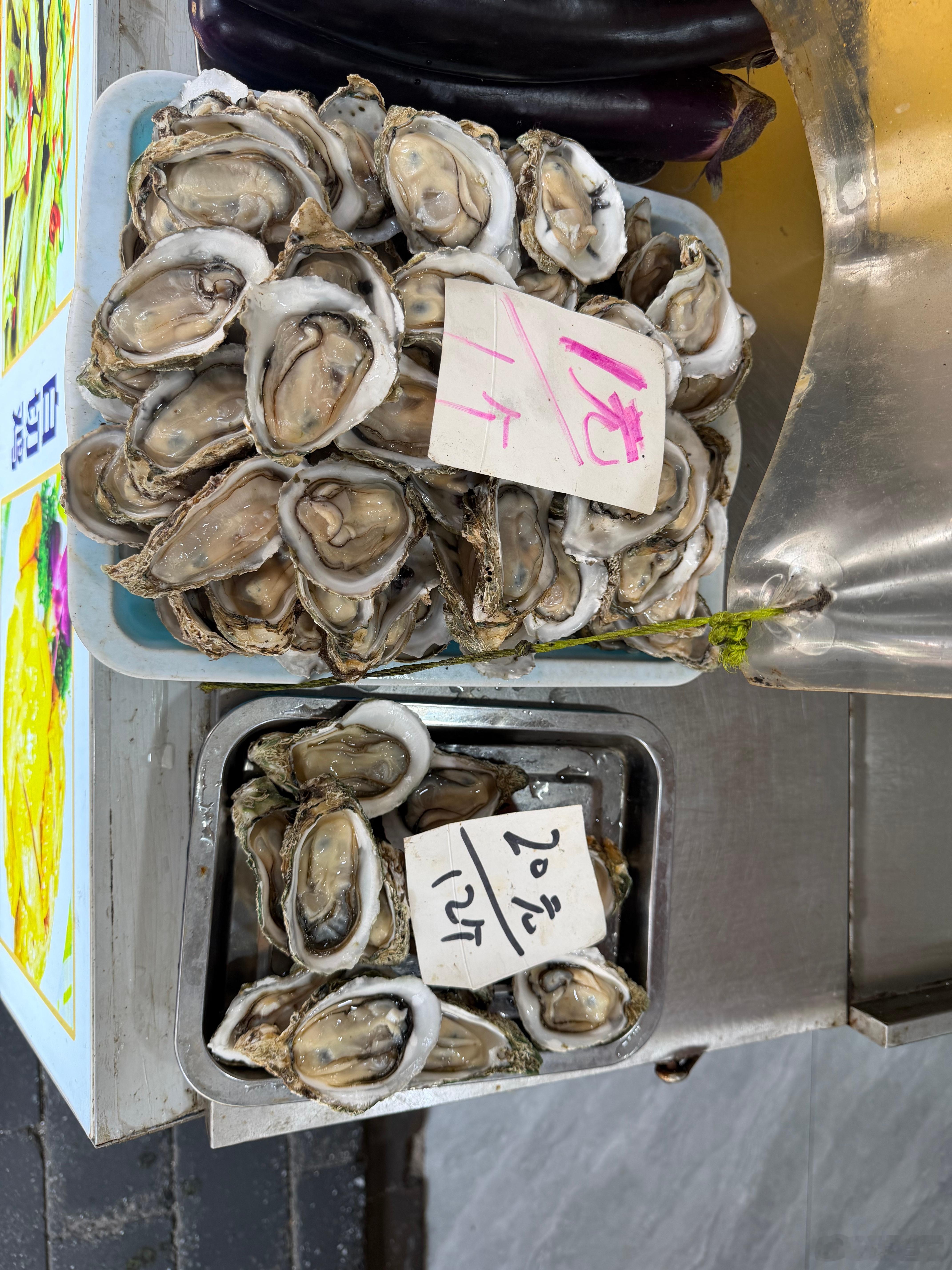 还有比这更便宜的生蚝吗？ 北海·北海老城