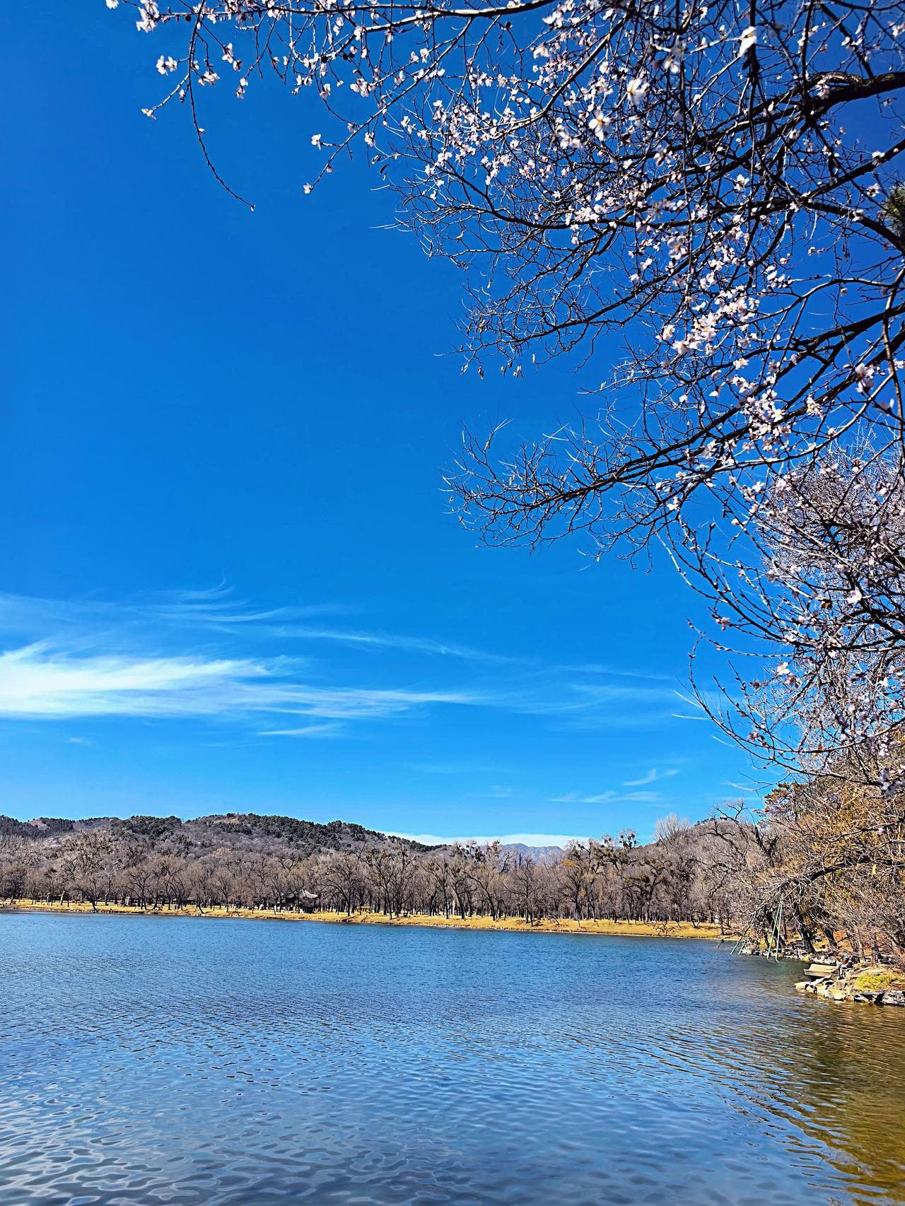 小鹰又被击落一架f15，一架a10战机！还有几架搜救直升机被击中！

现在的局势
