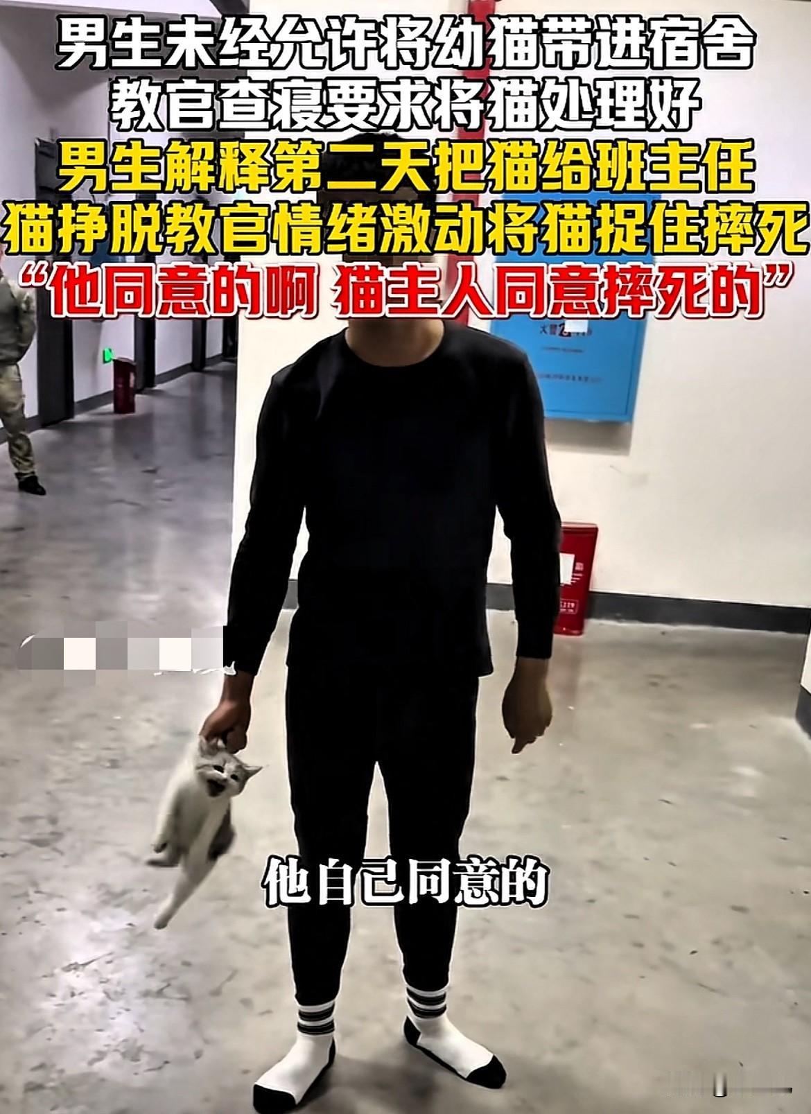 太痛心了！湖南湘西，男生未经允许，把幼猫带进宿舍，被教官查到。男生解释说：“第二