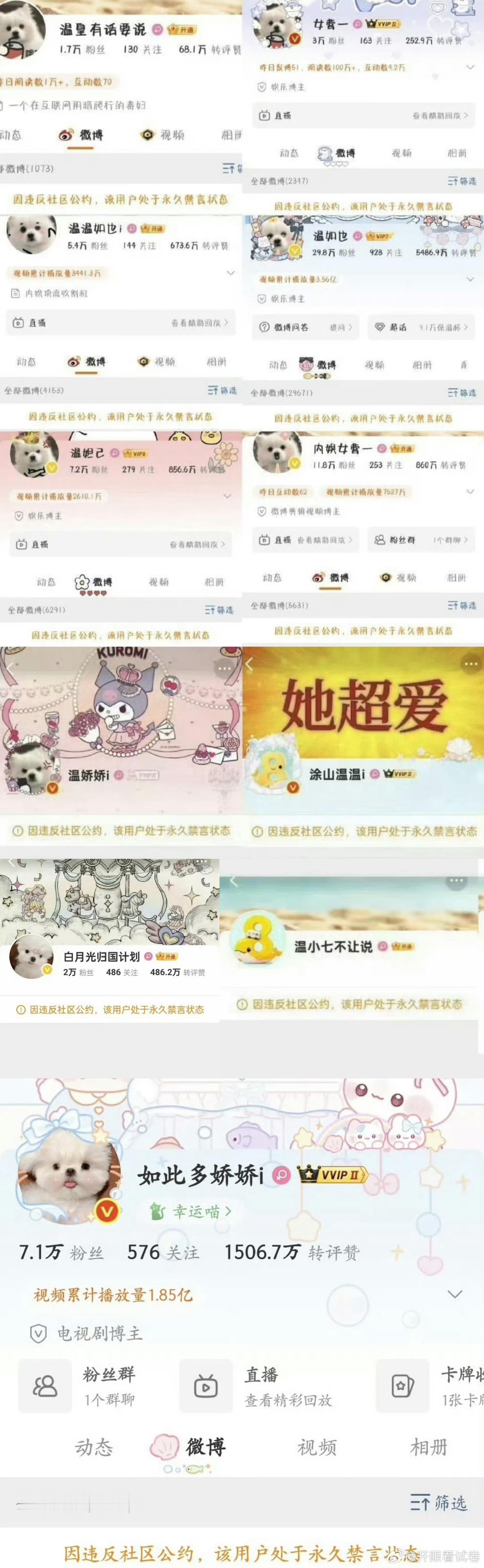 温如也居然被禁了那么多号吗，已经11个了太有精力了