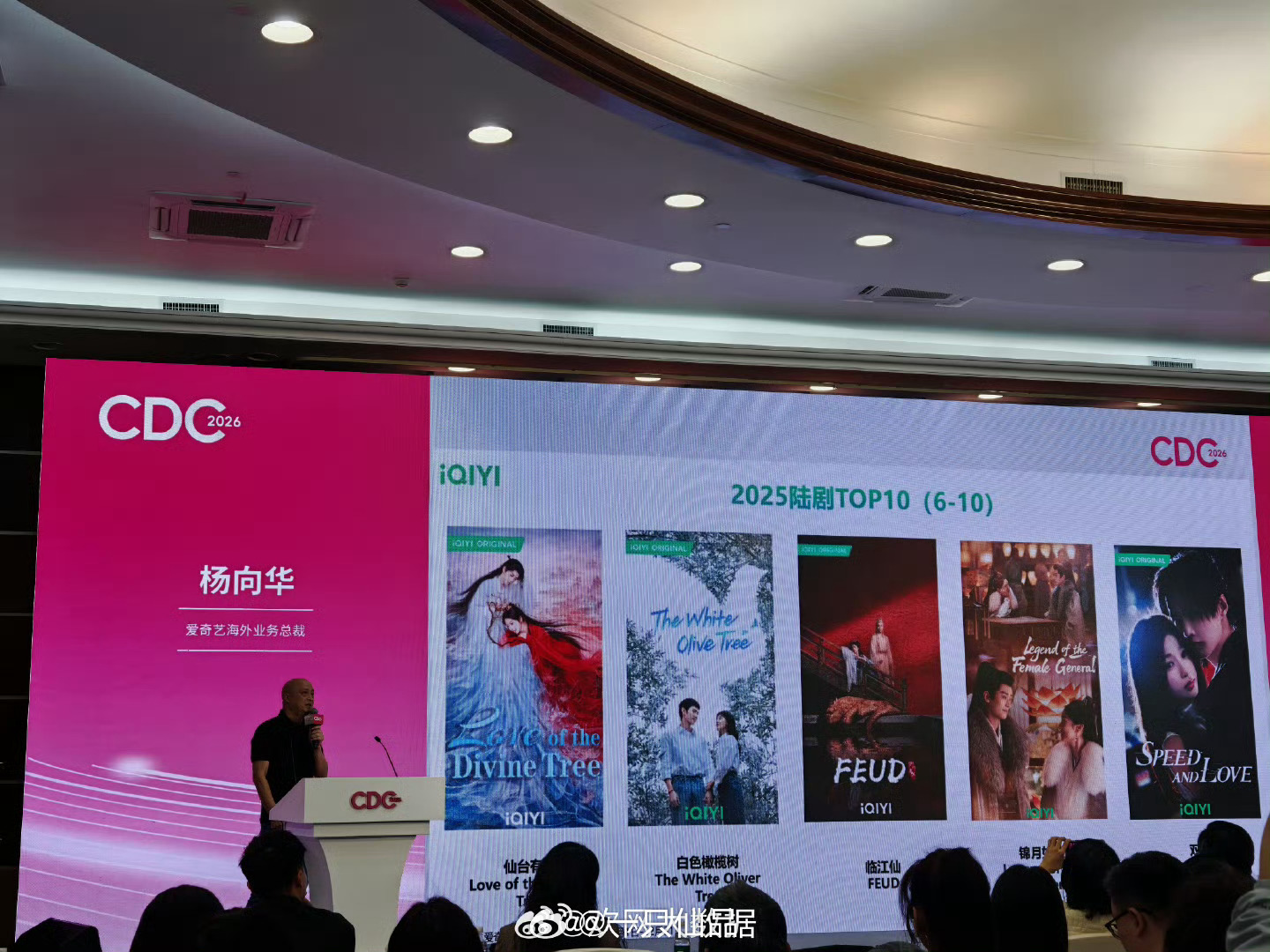 2025爱奇艺海外播放量前十陆剧邓为一番大男主剧《仙台有树》强势登榜邓为饰演的苏