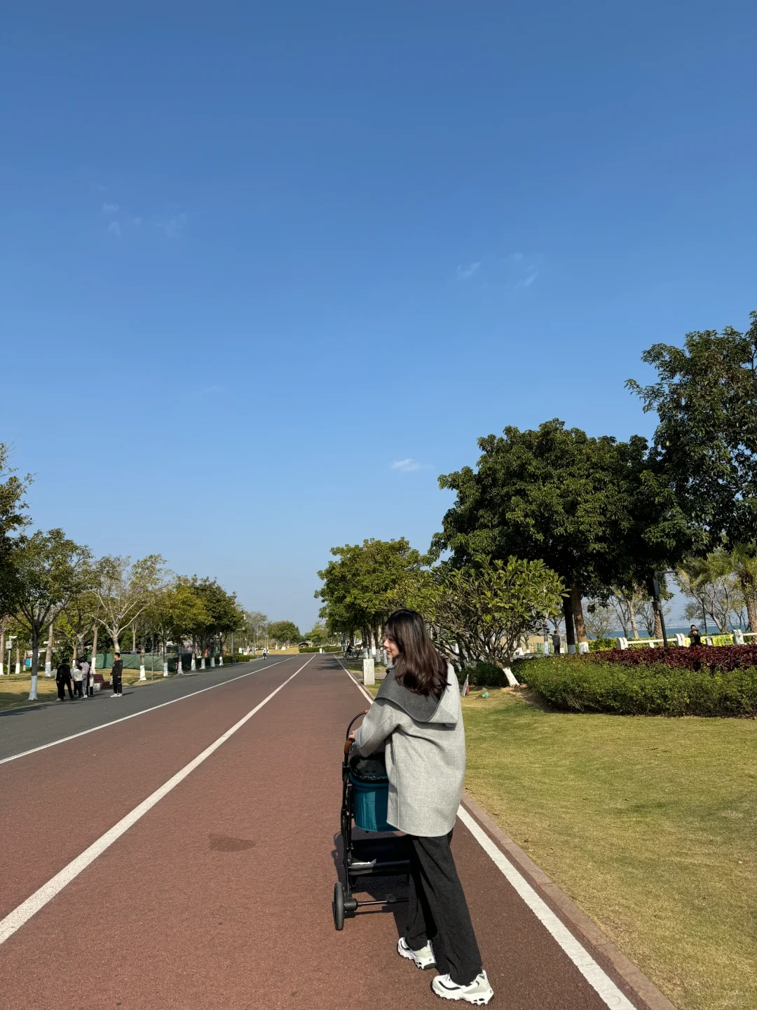 好天气遛猫