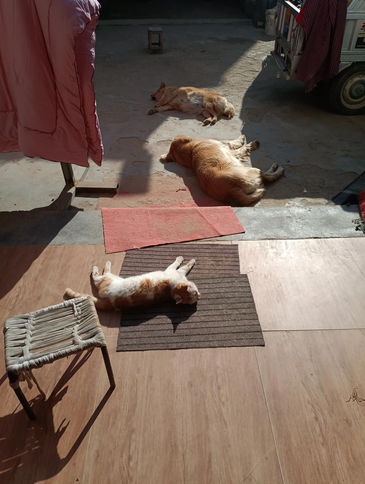 温馨的乡村农家！