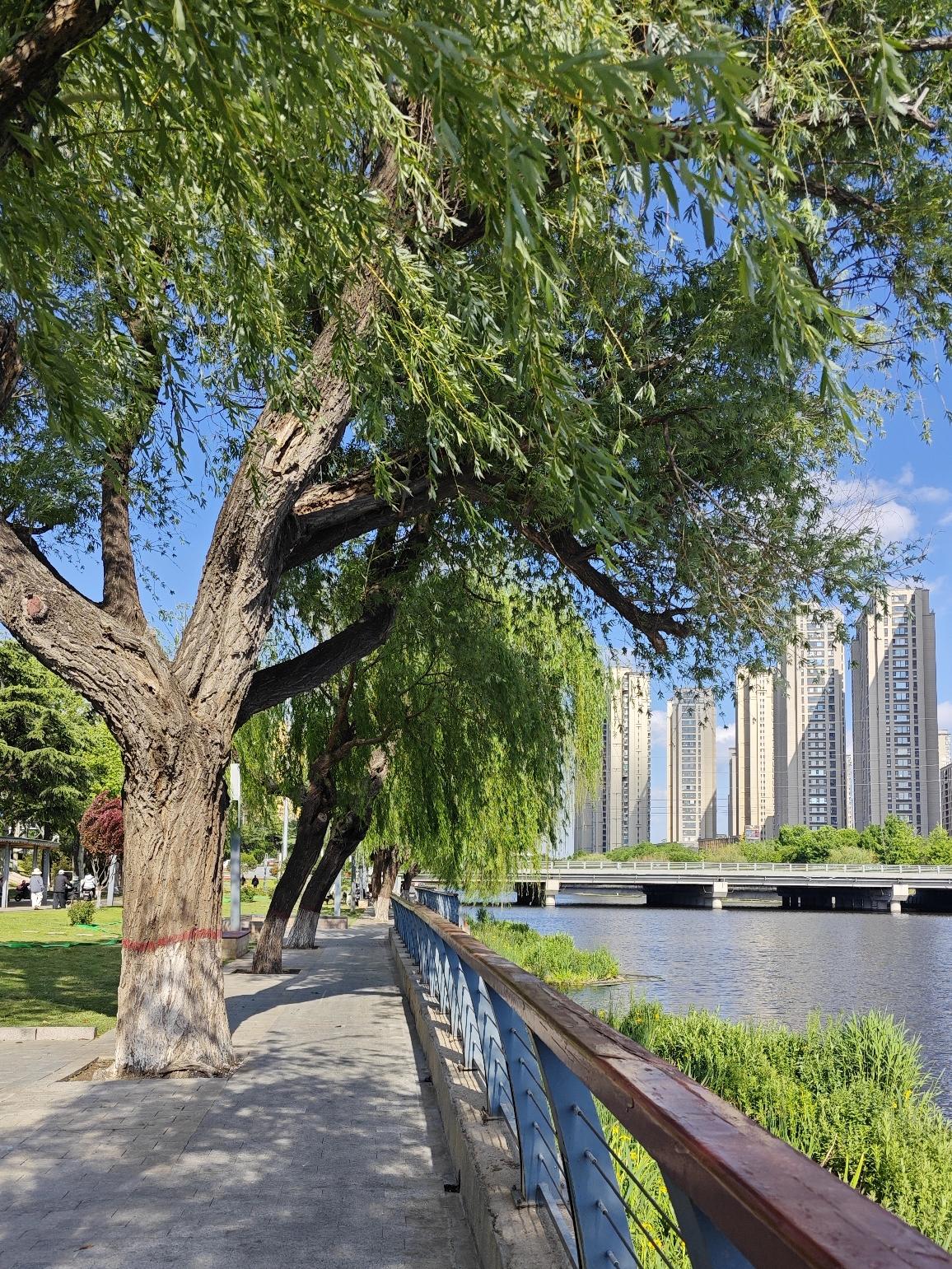 今天已是小长假的第四天了，打算周边逛逛不远行！