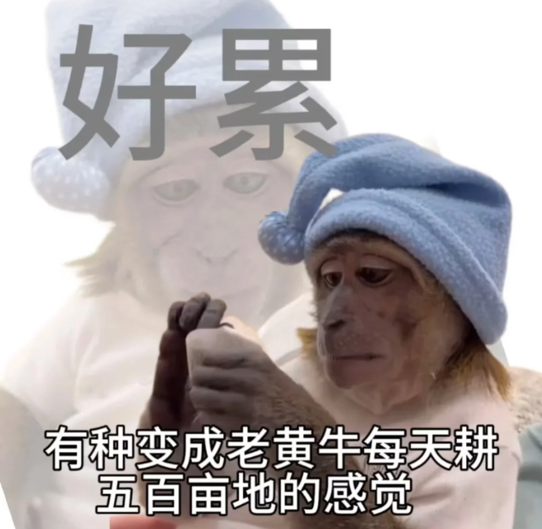 上班有种变成老黄牛每天耕五百亩地的感觉