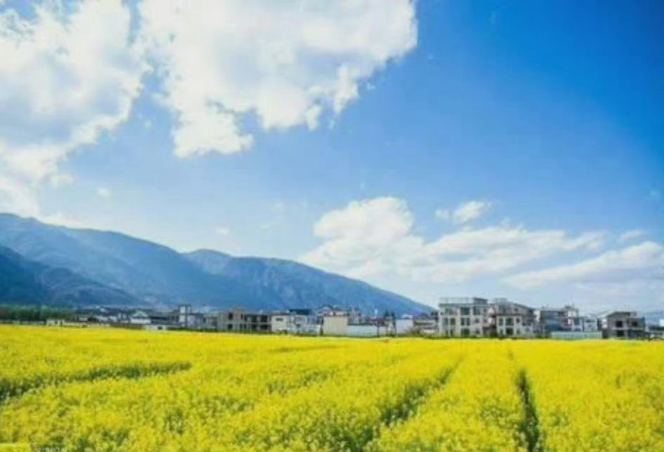 大理的春天，我陪你去............... 