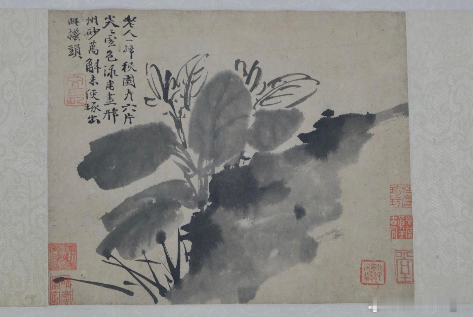 🏛️北京画院美术馆三家门下转轮来：齐白石与徐渭、八大山人、吴昌硕 闭展前两天 