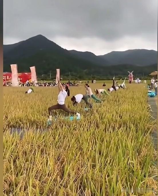 这样的健身团就应该取缔，
真的就是在搞破坏，
为了自己的利益，
完全不珍惜农民们