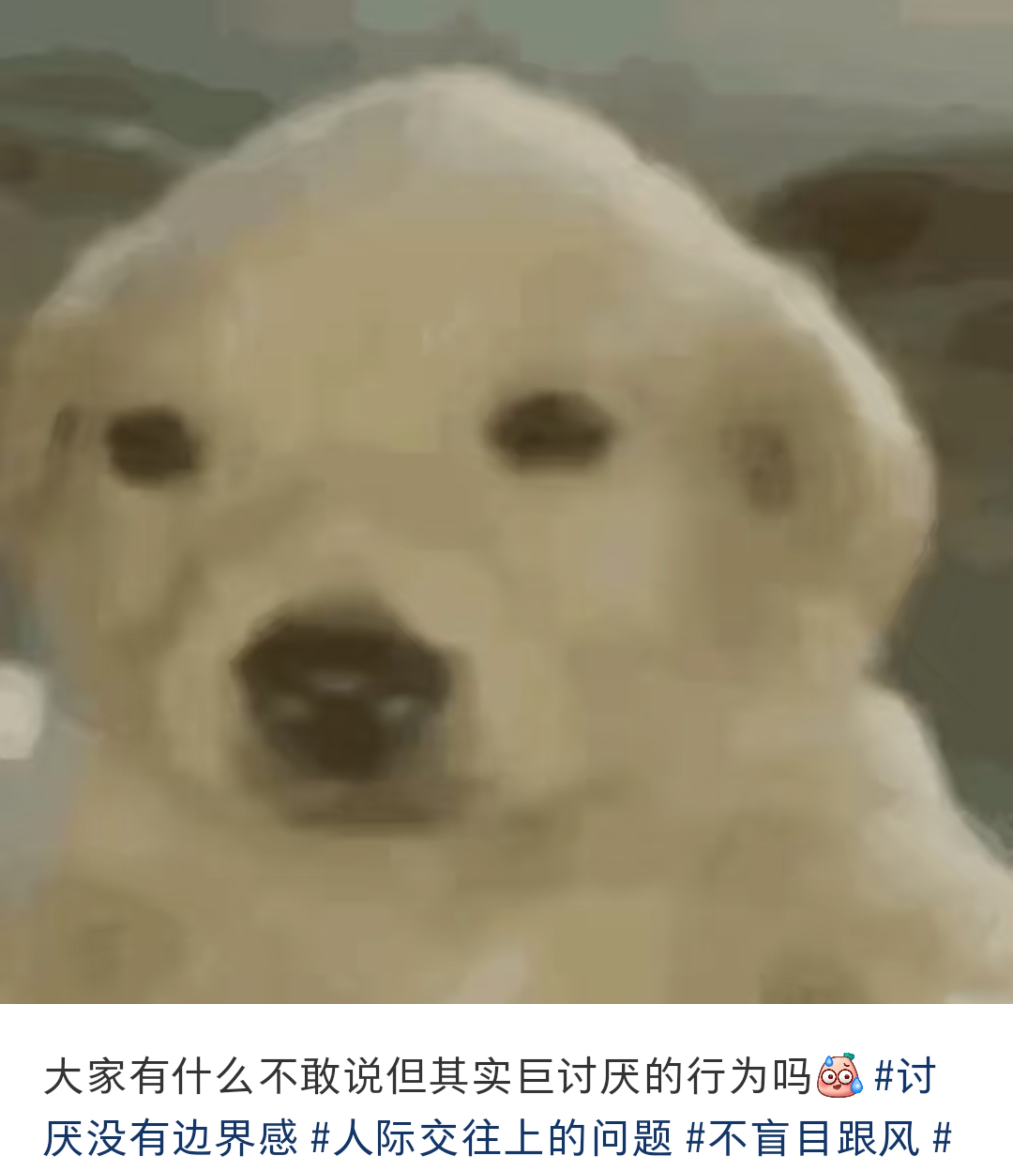 原来大家都有很多不敢说却很讨厌的行为[怒] ​​​