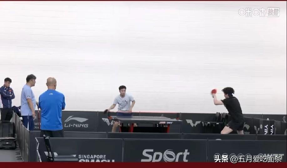 莎莎在前面比赛，楚钦在后面训练。
王皓、孙逊、肖战都围在旁边。
男队只有这一个种