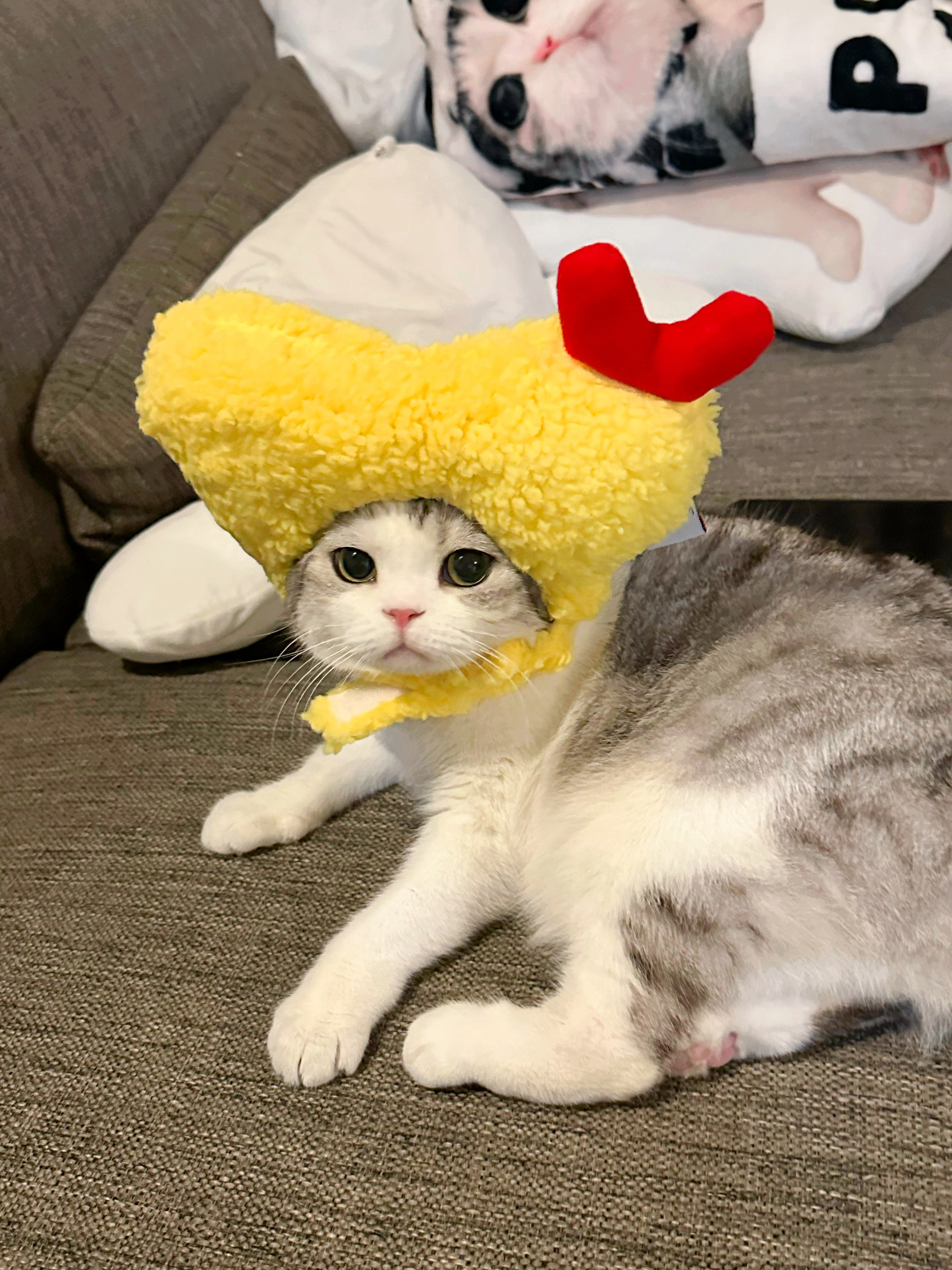 天妇罗泡芙！宝宝给妈妈咬一口先🫰🏻#转发接龙开新年# #日常分享# ​​​