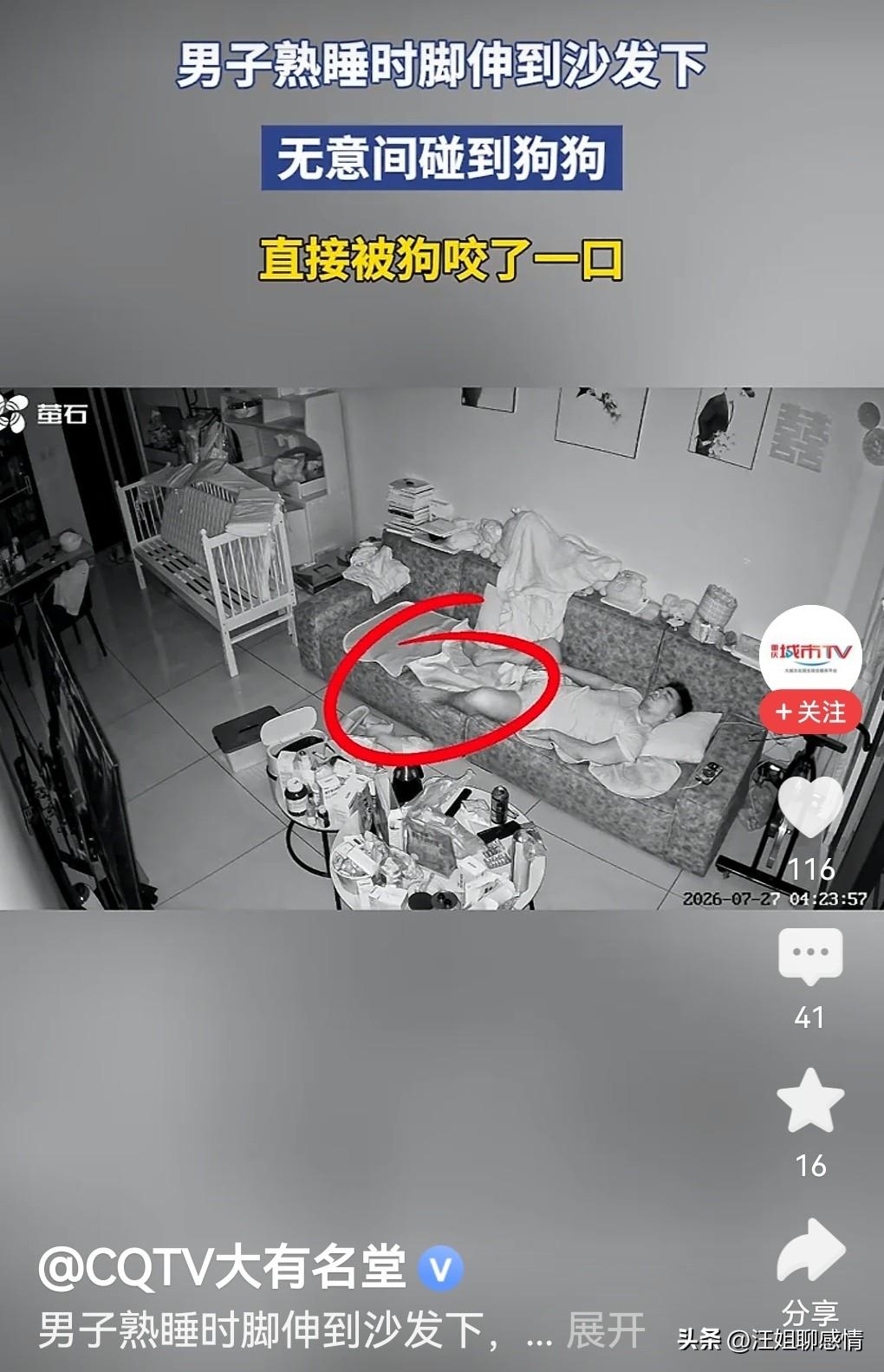 危险！男子熟睡时脚碰到狗狗被咬伤！

夜深人静，沙发底下，狗狗正做着啃骨头的美梦