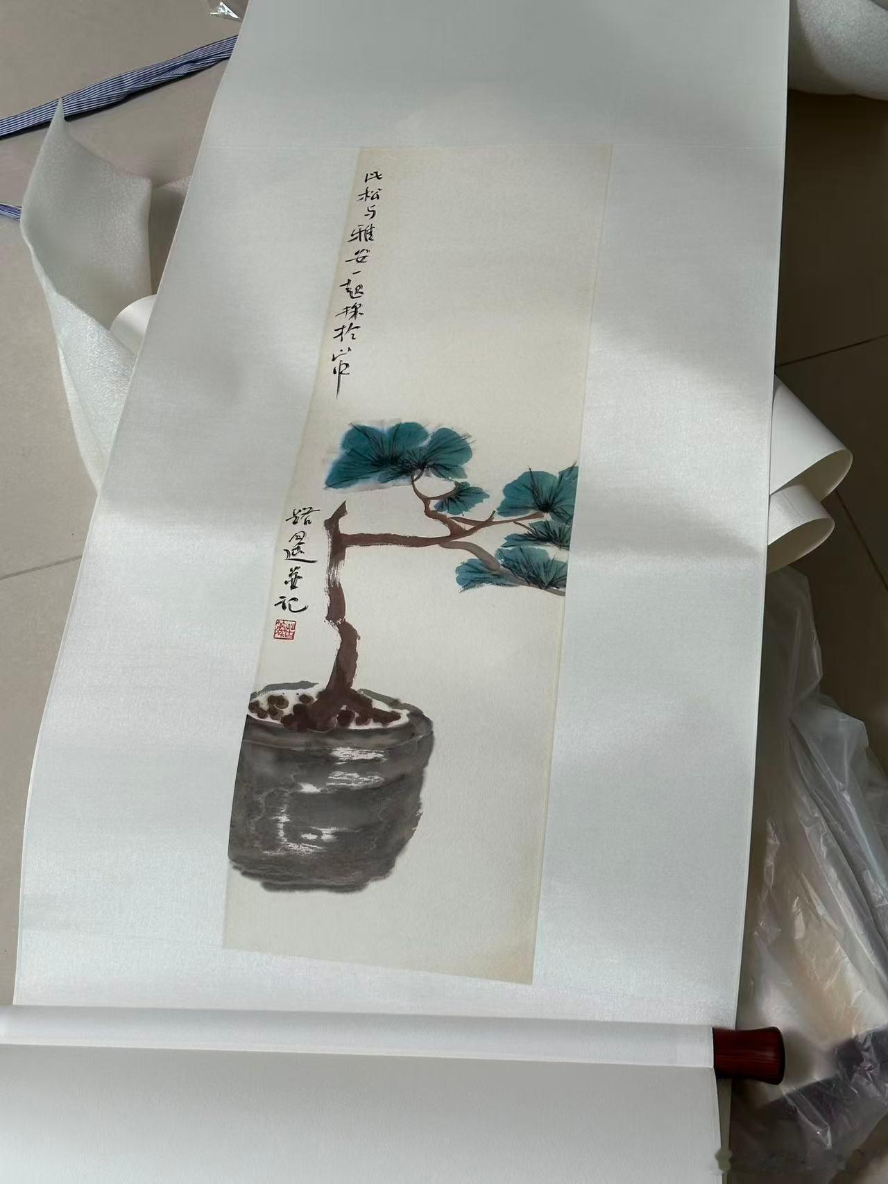 疫情前画的松树。那两年和雅安一起去西陵井山上，去野外找松树，发现这张适合做盆景的