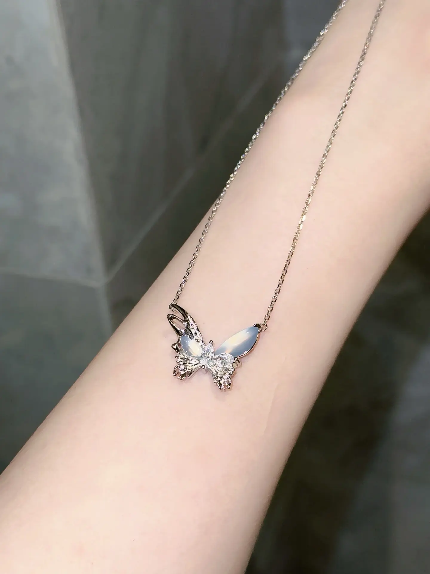 月光蝴蝶。