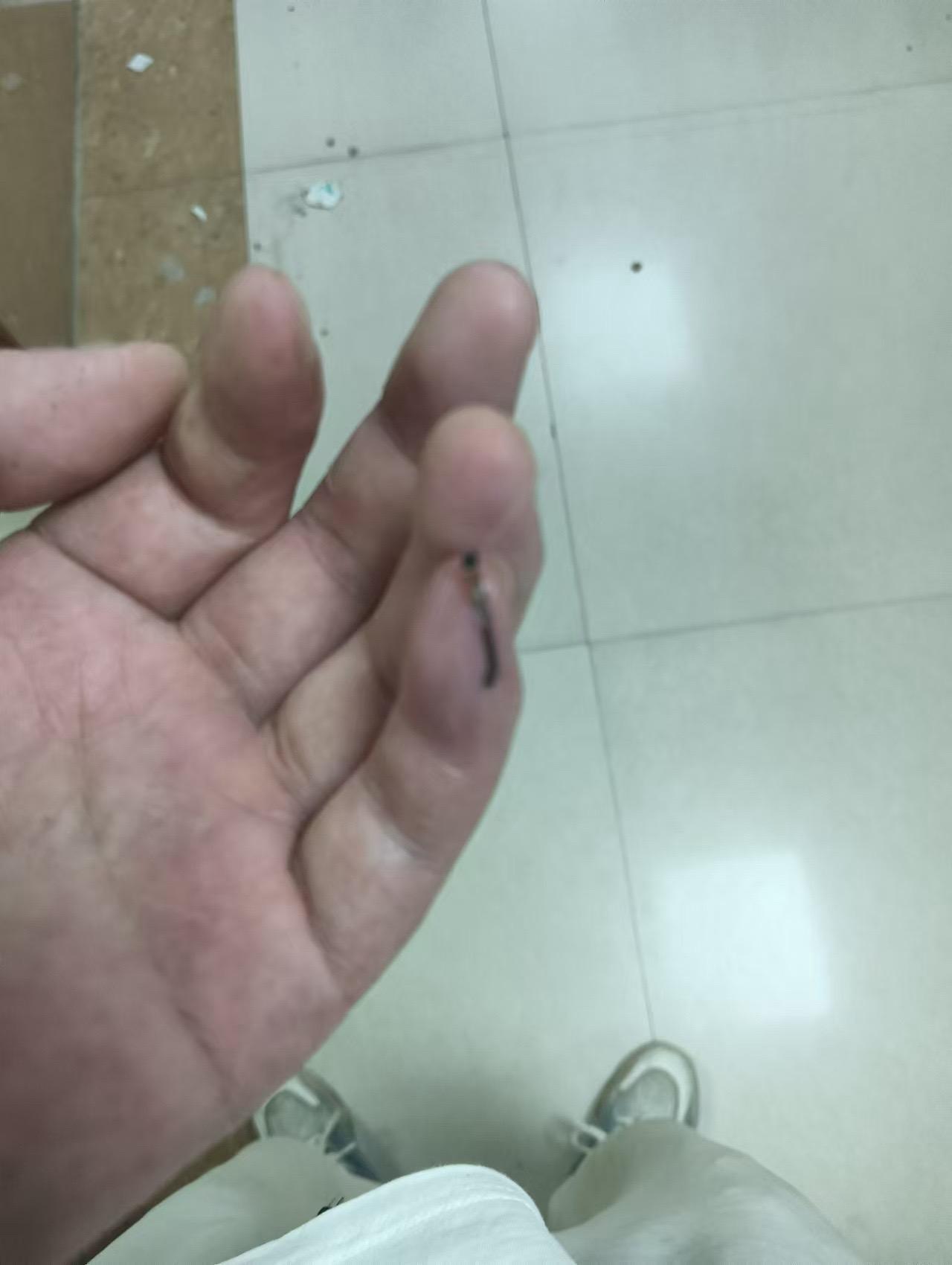 #钓鱼的乐趣只有钓鱼人懂 #钓鱼人的天堂 #我爱钓鱼我的选择 #钓技钓法 #野外