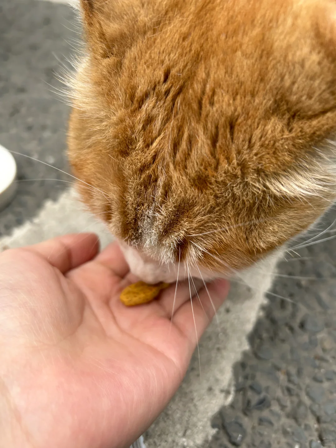 这个角度！和流奋一模一样！